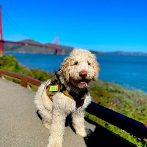 Meet your Posher, Kristy